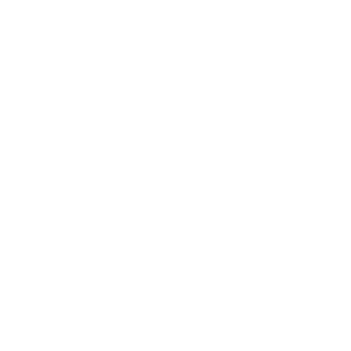 i_information_white icon